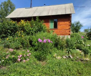 Тихий Лог
