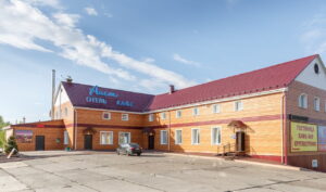 Аист