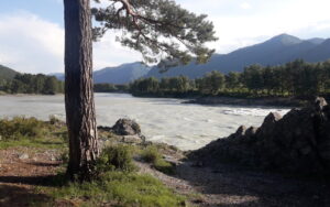 Прибрежная