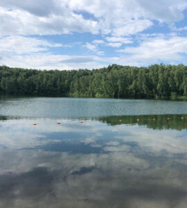 Берёзка