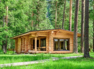 Altay Sense