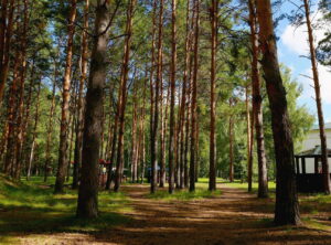 Коммунальник