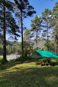 Forest Camp Altay