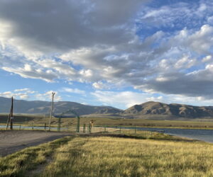 Каменистый берег