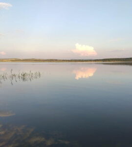 Тагарское