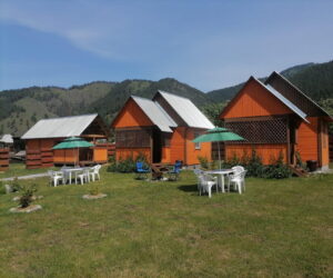 Оранжевое лето