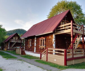Золотая рыбка