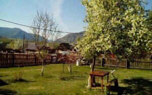 Избушка у Танюшки