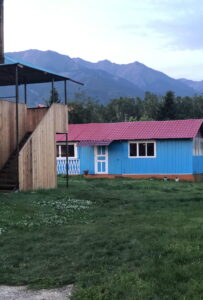 Аршанский ирбис