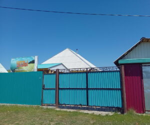 Улзы