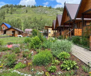 Отдых в Лукоморье