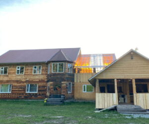 Еловая опушка