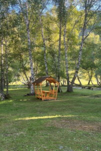 Алтын Чакы