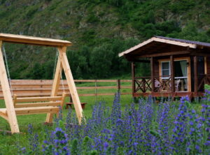 Можжевельник