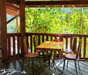 Времена года