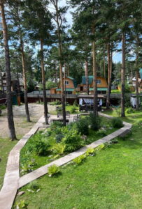 Подснежник