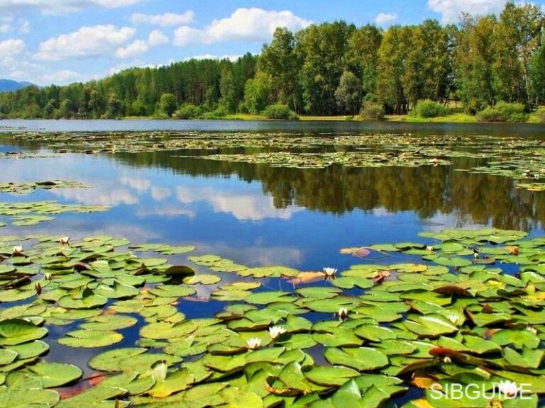 Манжерокское озеро