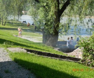 Спутник