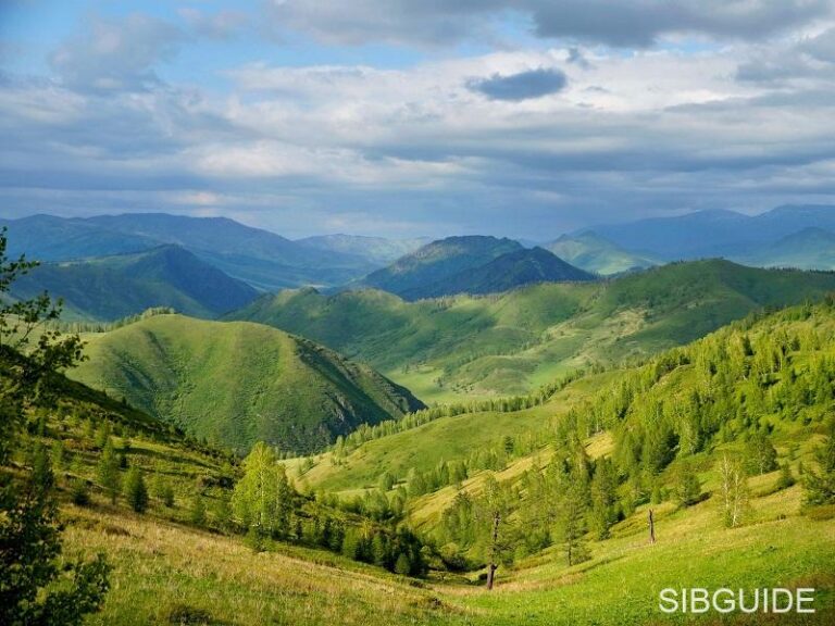 Горный Чарыш