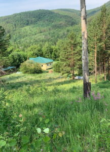Халюта