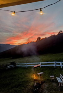 Белый кролик