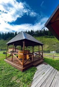 Ревякинъ двор