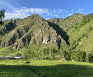 Домик у Петровича