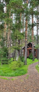 Fairy_forest24