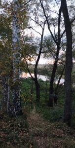 Зотино