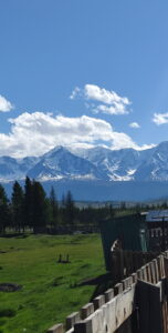Курай