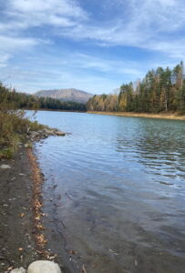 Гостевой дом