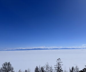ПетровичЪ