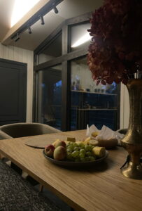 Panorama house24