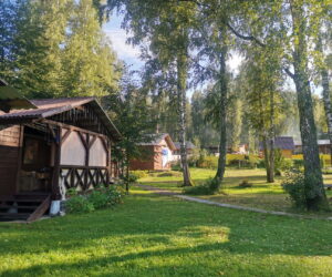 Подсолнух