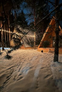 Pine Paradise