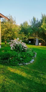 Яблоневый сад