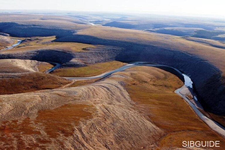 Таймырский заповедник